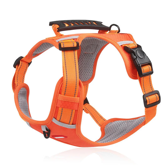 【5–30 kg】Vodítko pro psy s postrojem, proti tahání, pro domácí mazlíčky.